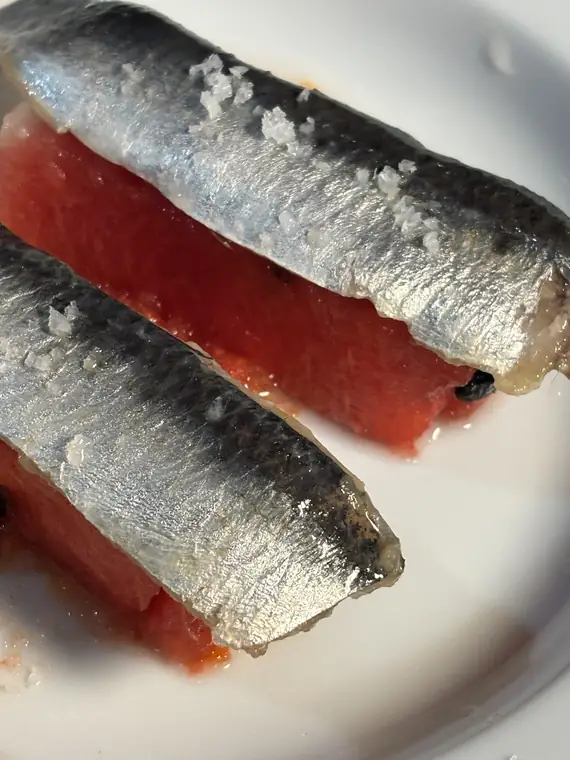 Filetes de sardinha crua com sal grosso, em plano aproximado.